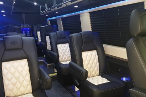 Two-Tone Luxury Shuttle Seating with Diamond Inlay