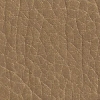 Aberdeen Buckskin