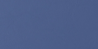 Allante Galaxy