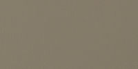 Allante Khaki