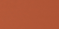 Allante Mango
