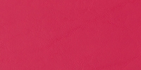 Allante Nu Red